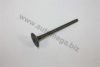 AUTOMEGA 1006410340 Exhaust Valve